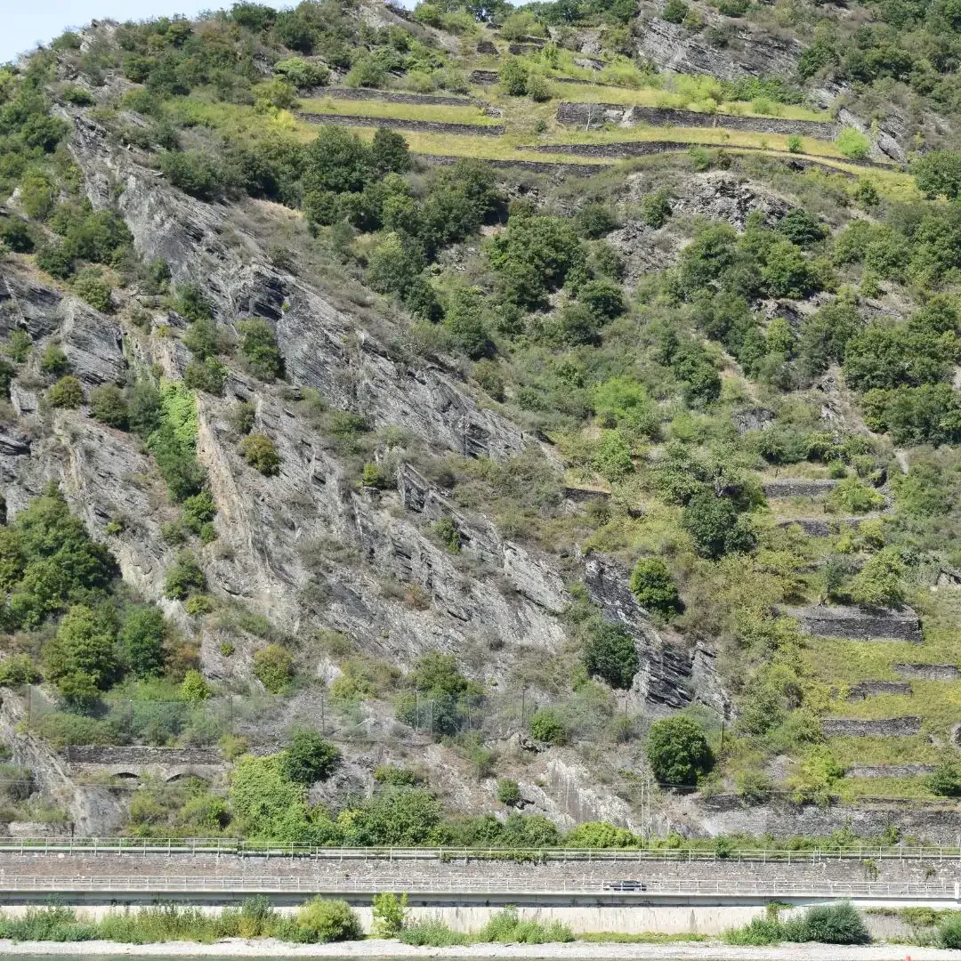 Steiler Felshang mit Steinschlagnetzen im Mittelrheintal